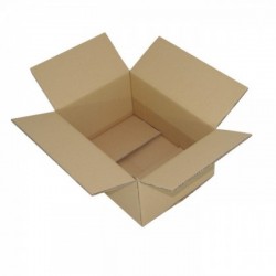 Standard Box 25x25x10cm